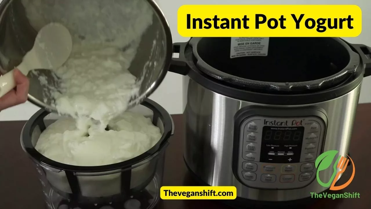 Our favorite method. You can make larger amounts of yogurt in an Instant pot with a yogurt-making setting and the results are also consistent.

An instant pot is worth the price if you want decent amounts of yogurt made right from day one. It is easy for your yogurt adventures to fail if you try to pull it off by playing guessing games to get the right temperature for the fermentation process.