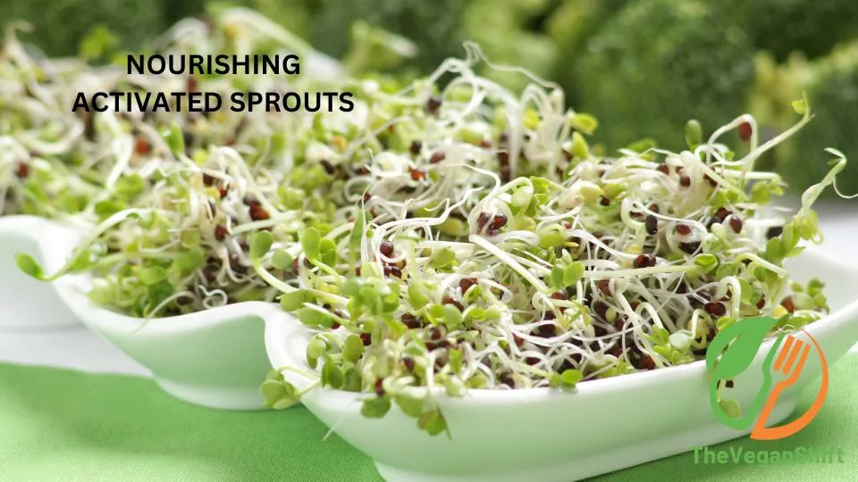 Sprouts are fiber-rich nutrition powerhouses because they contain all the proteins, enzymes and nutrients a plant needs to grow.