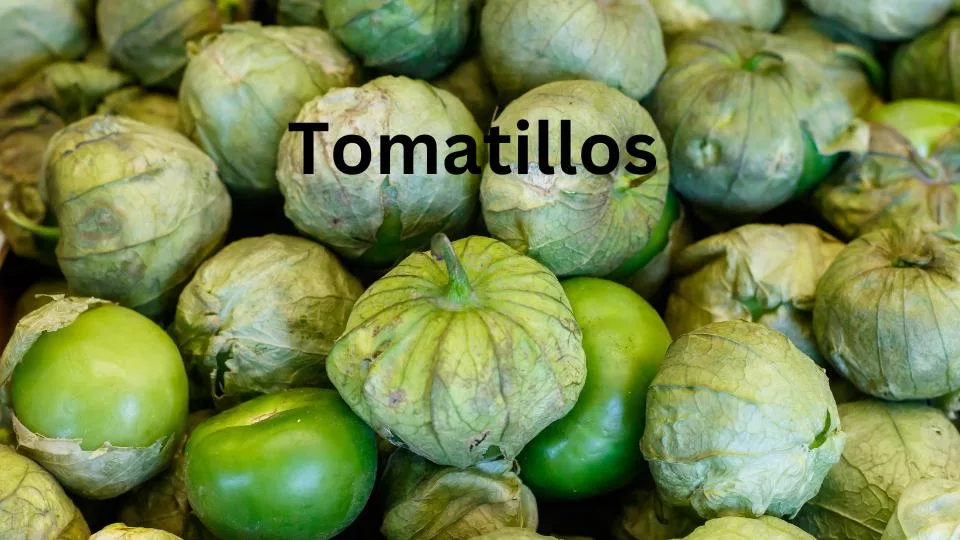 Mexican Tomatillos a distant relative of tomatoes