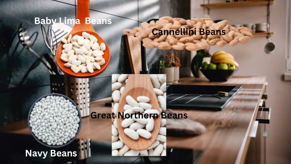 four Types of White beans. White beans come in several varieties. 