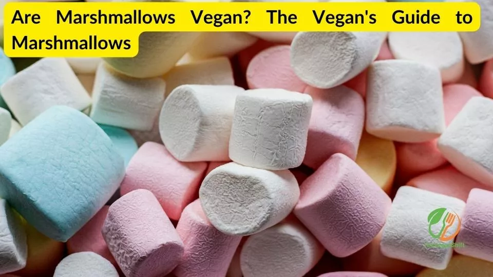 Are Marshmallows Vegan? The Vegan's Guide to Marshmallows